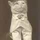 Illustration for article titled Vintage Photos Reveal Century-Long Obession with Dressing Up Pets